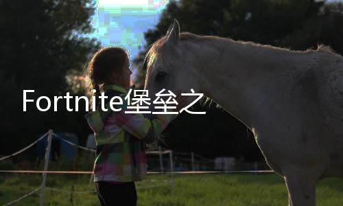 Fortnite堡垒之夜国际服