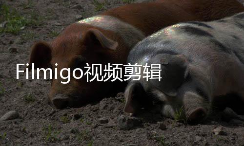 Filmigo视频剪辑安卓版