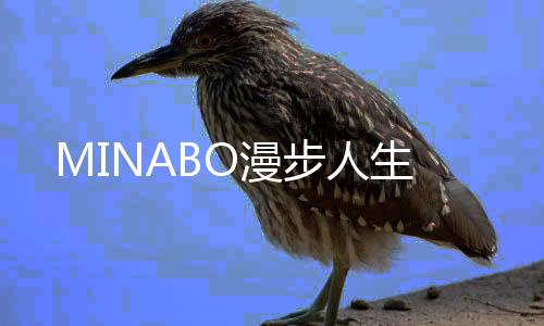MINABO漫步人生