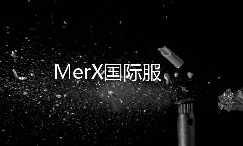 MerX国际服