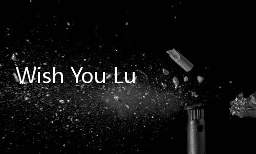 Wish You Luck游戏无广告