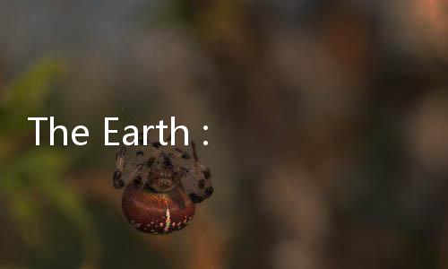 The Earth : Evolution地球进化游戏