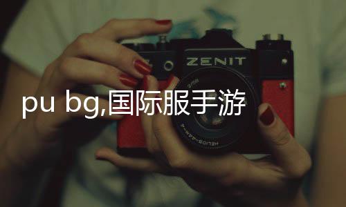 pu bg,国际服手游(BETA PUBG MOBILE)